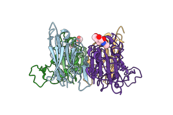 7NLL image