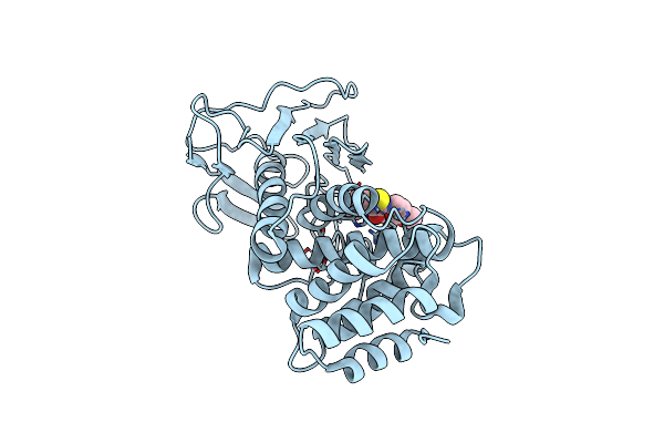 7NLM image