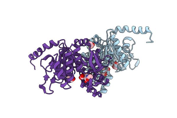7NLN image
