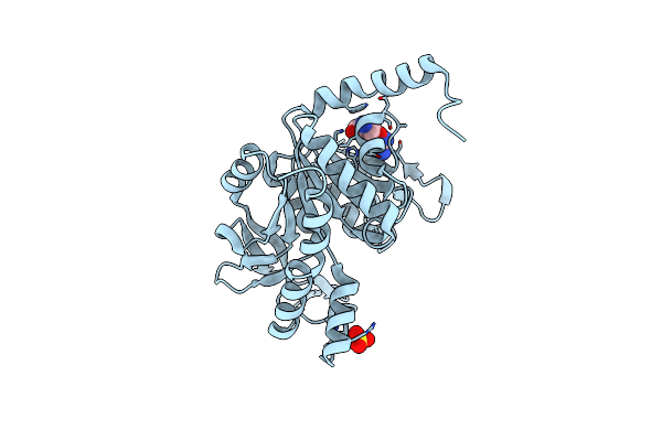 7NLP image