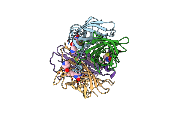 7NLV image