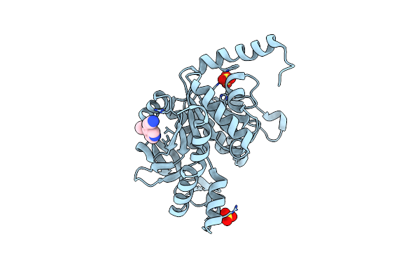 7NLW image