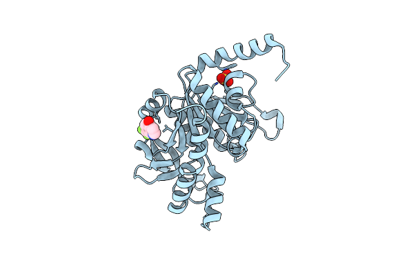 7NLX image