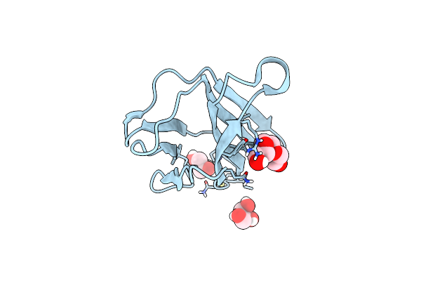 7NMC image