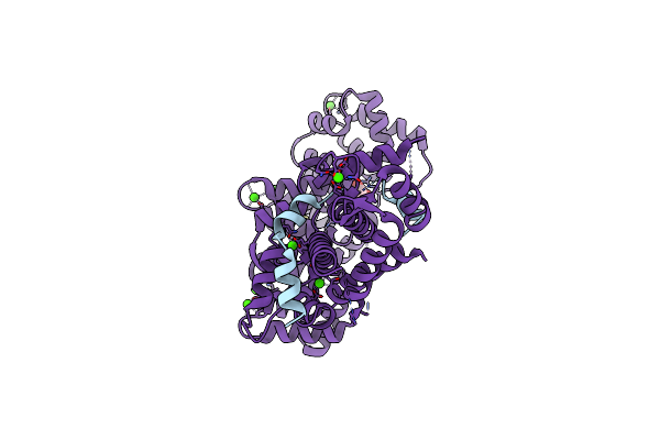 7NMI image