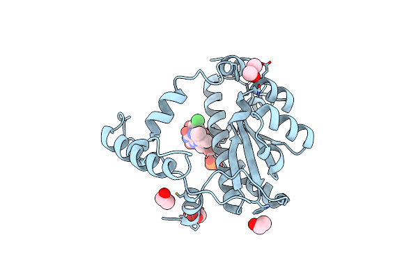 7NMP image