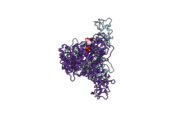 7NNG image