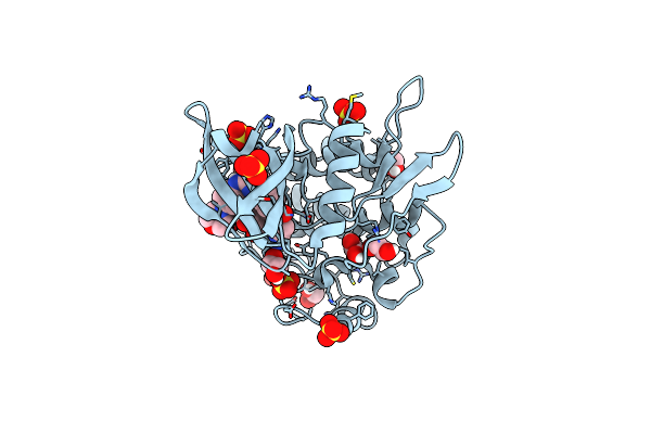 7NNS image
