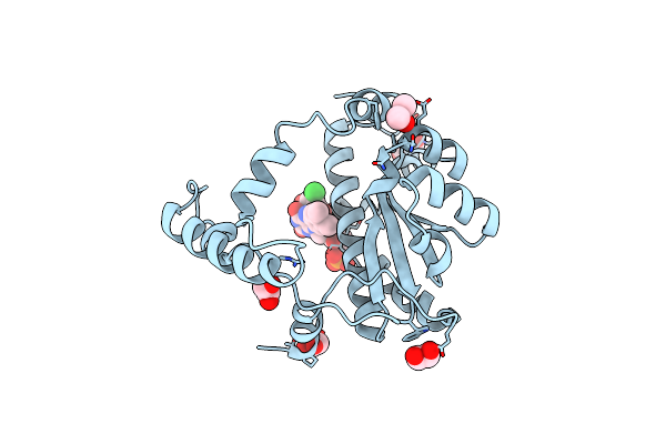 7NNX image
