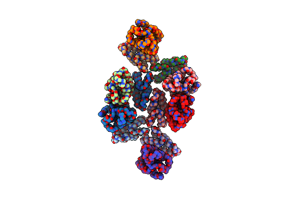 7NOB image