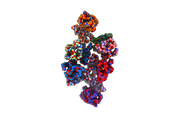 7NOD image