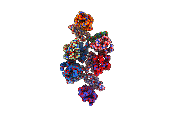 7NOG image