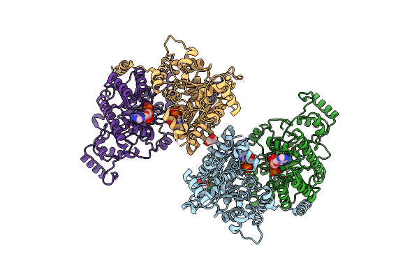 7NPE image