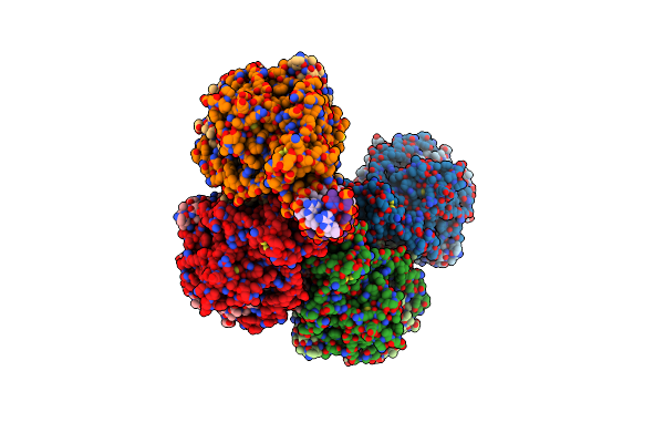 7NPF image