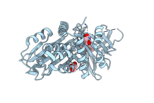 7NPK image