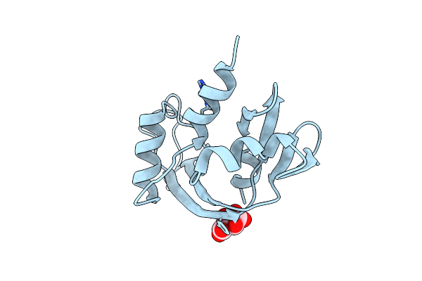 7NPM image