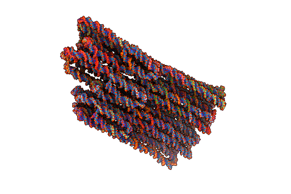 7NPN image