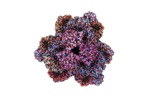 7NPR image