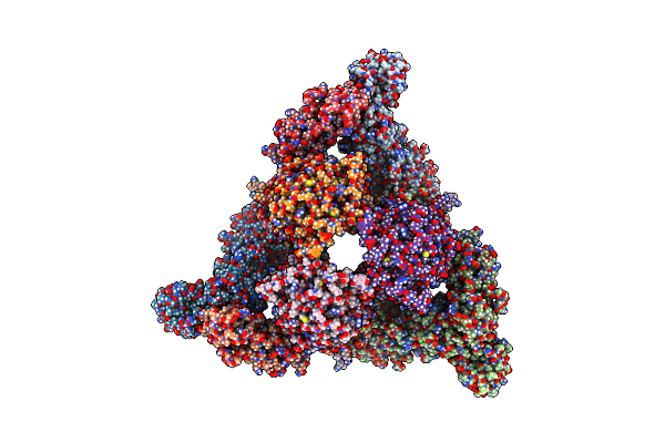 7NPS image