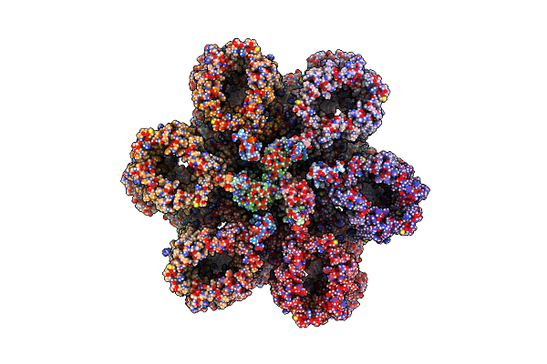 7NPU image