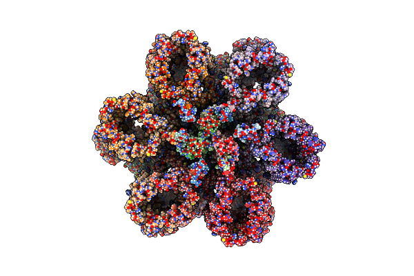 7NPV image