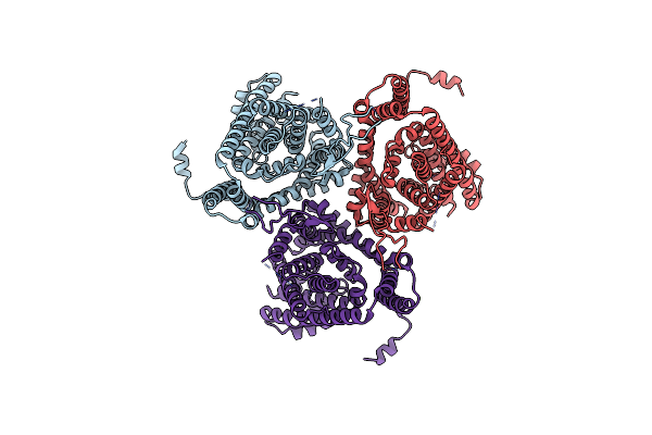 7NPW image