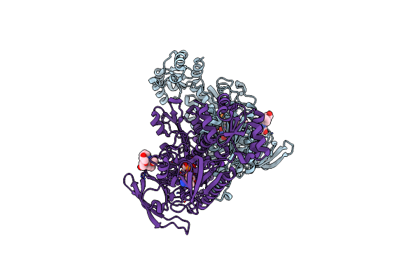 7NPX image