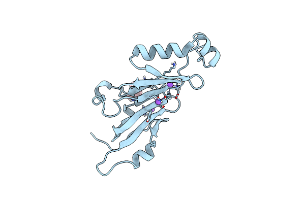 7NQ6 image
