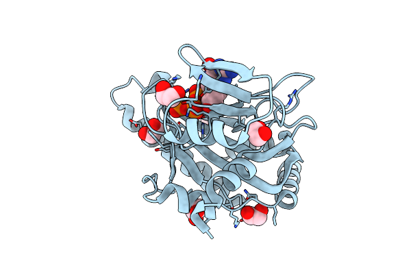 7NQE image