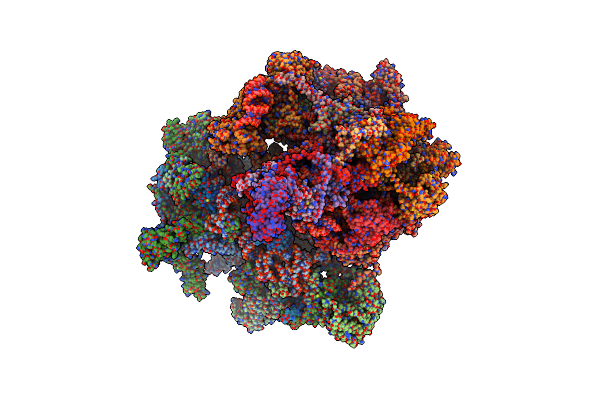 7NQL image
