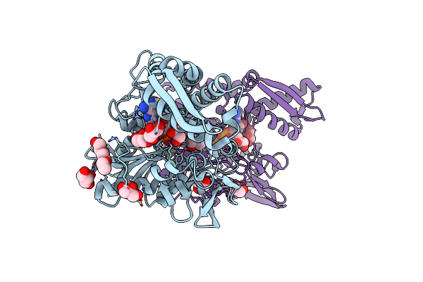 7NQS image