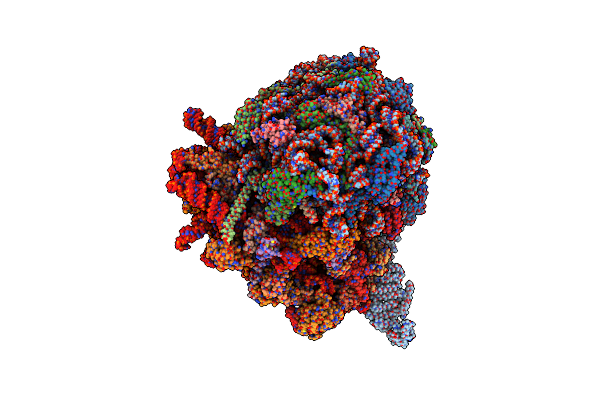7NRC image