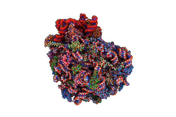 7NRD image