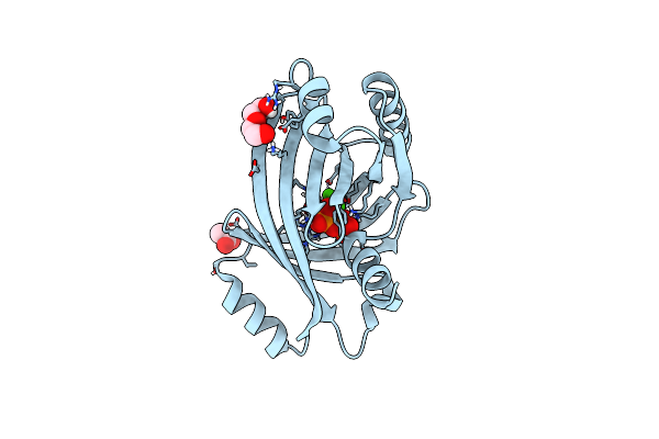 7NS9 image