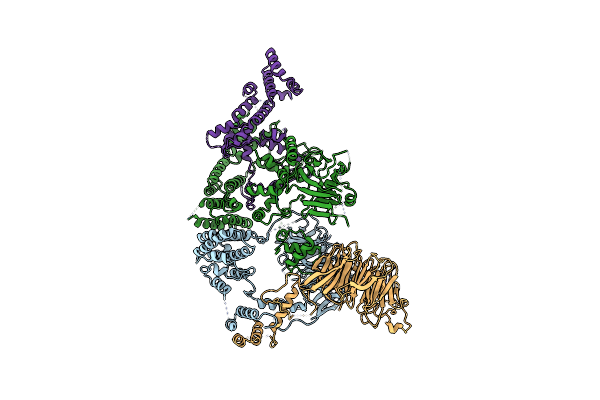 7NSB image