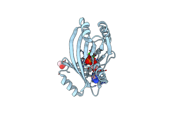 7NSD image