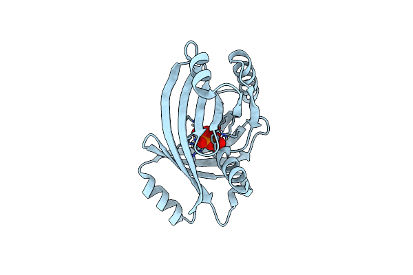 7NSF image