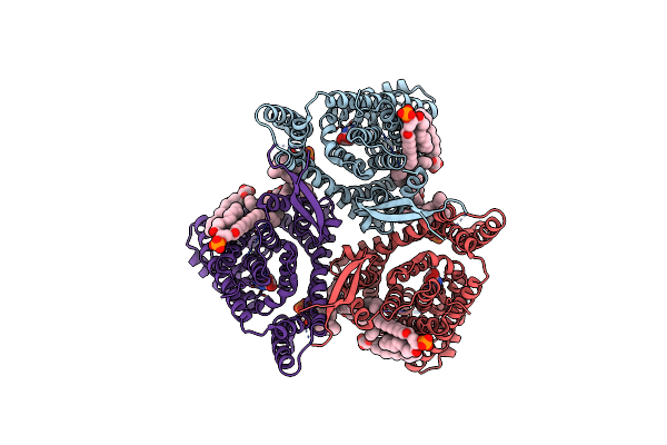 7NSG image