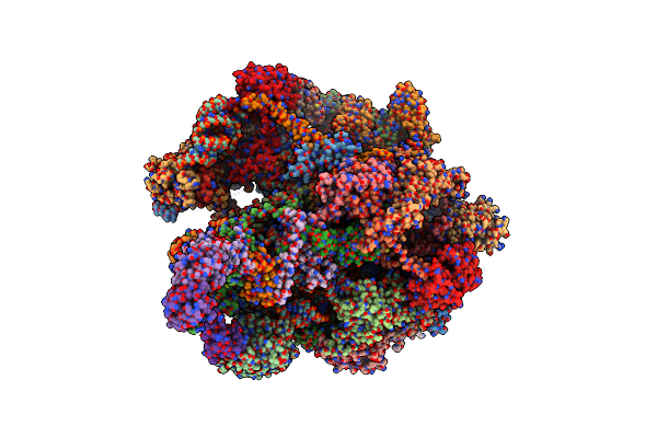 7NSH image
