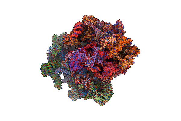 7NSI image