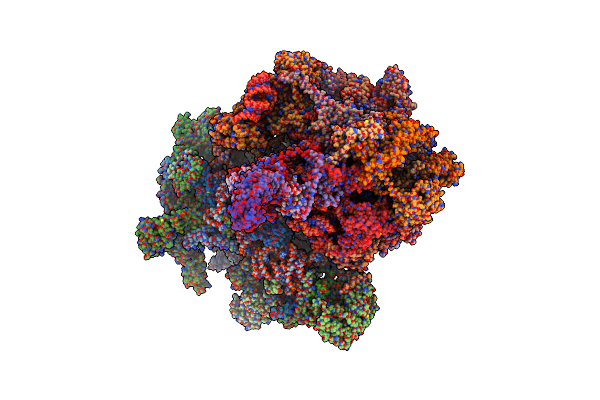 7NSJ image
