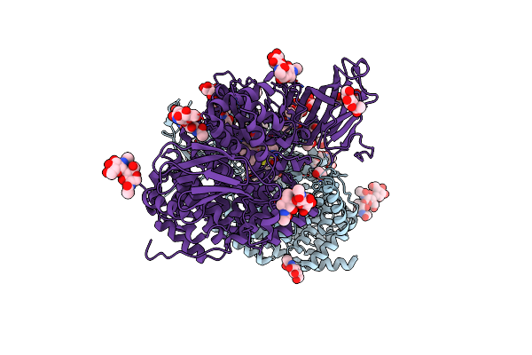 7NSK image