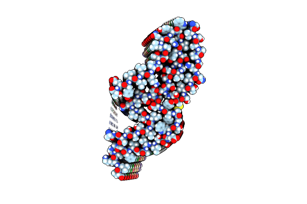 7NSL image