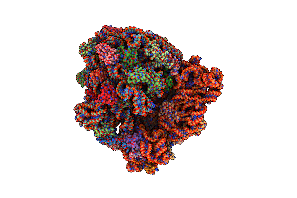 7NSO image