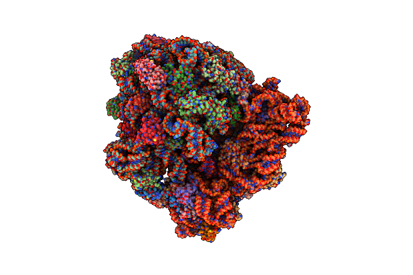 7NSP image