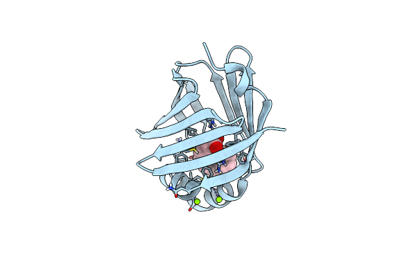 7NSR image