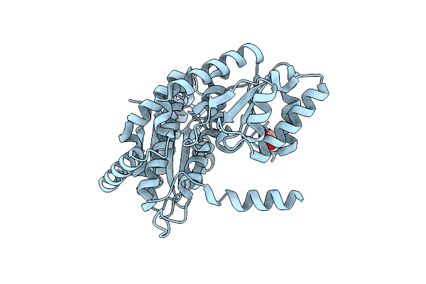 7NSS image