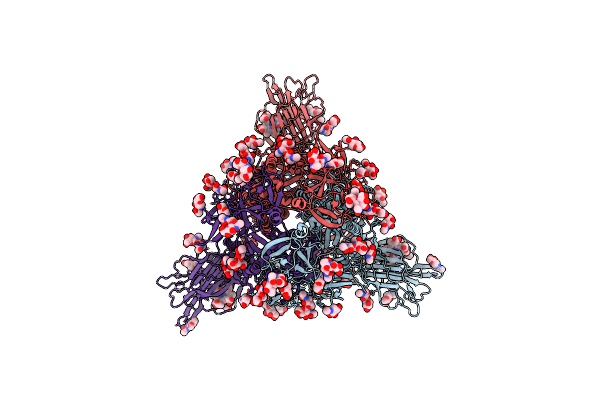 7NTA image