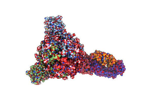 7NTC image