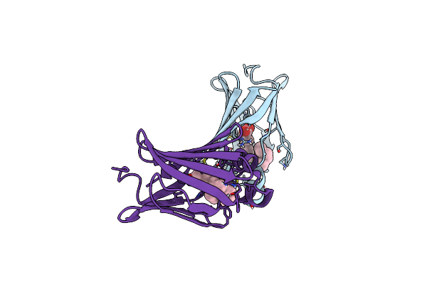 7NTP image